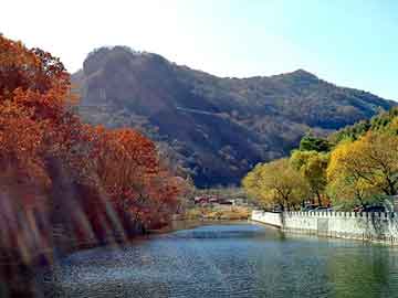 王中王一肖彩圖彩網(wǎng)，探索關(guān)鍵詞背后的故事與奧秘，王中王一肖彩圖彩網(wǎng)，揭秘關(guān)鍵詞背后的故事與奧秘之旅