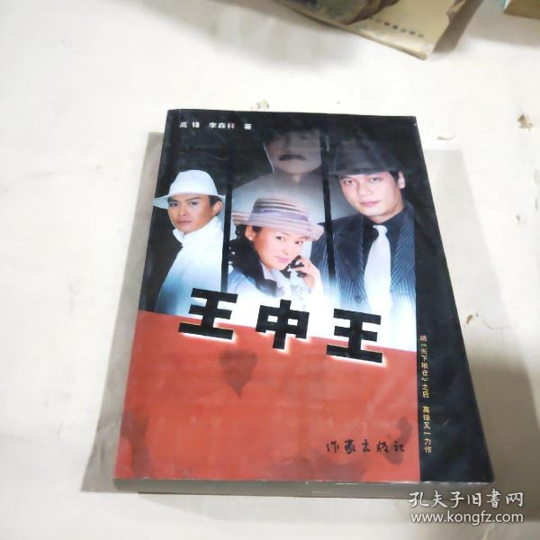 王中王資料一肖中特小說，深度解析與探討，王中王資料一肖中特小說的深度解析與探討