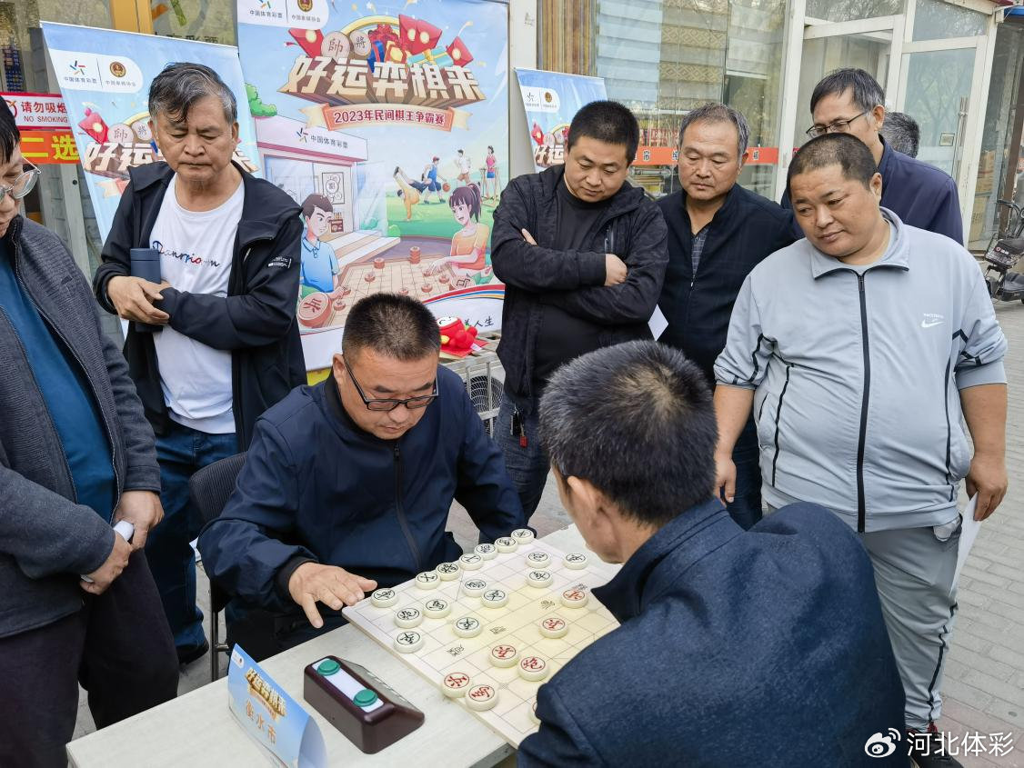 王中王平特一肖心水論沄，深度解析與探索，王中王平特一肖心水論沄，深度解析與探索之旅