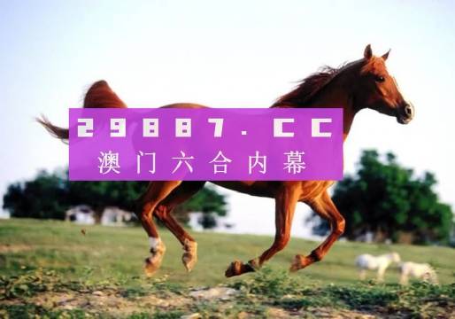 澳門(mén)一肖一碼一待一中資料，深度解析與探索，澳門(mén)一肖一碼深度解析與探索揭秘資料