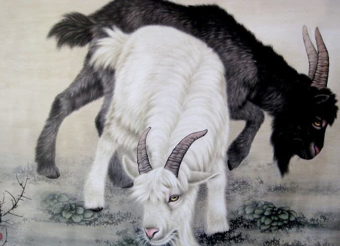 澳門今晚開三肖兔羊蛇，揭秘生肖運(yùn)勢(shì)與風(fēng)水預(yù)測(cè)，澳門今晚生肖運(yùn)勢(shì)揭秘，兔羊蛇三肖與風(fēng)水預(yù)測(cè)大揭秘