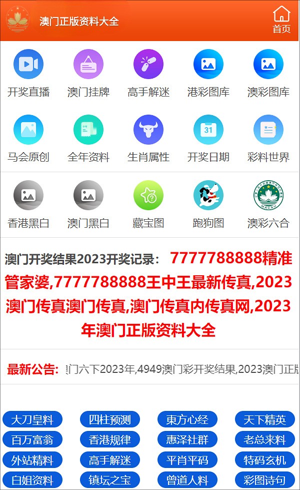 王中王一肖碼占，深度解析與SEO優(yōu)化策略，王中王一肖碼深度解析與SEO優(yōu)化策略探討