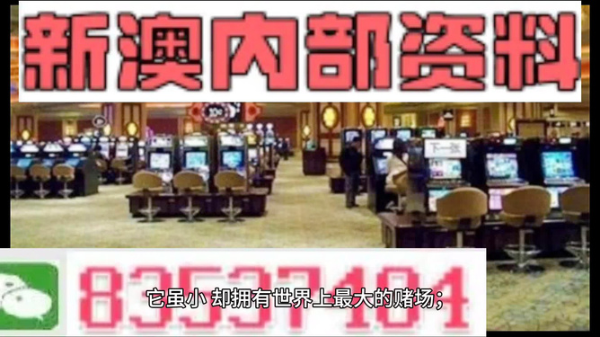 澳門正版精準免費大全——探索澳門博彩文化的獨特魅力，澳門博彩文化獨特魅力探索大全