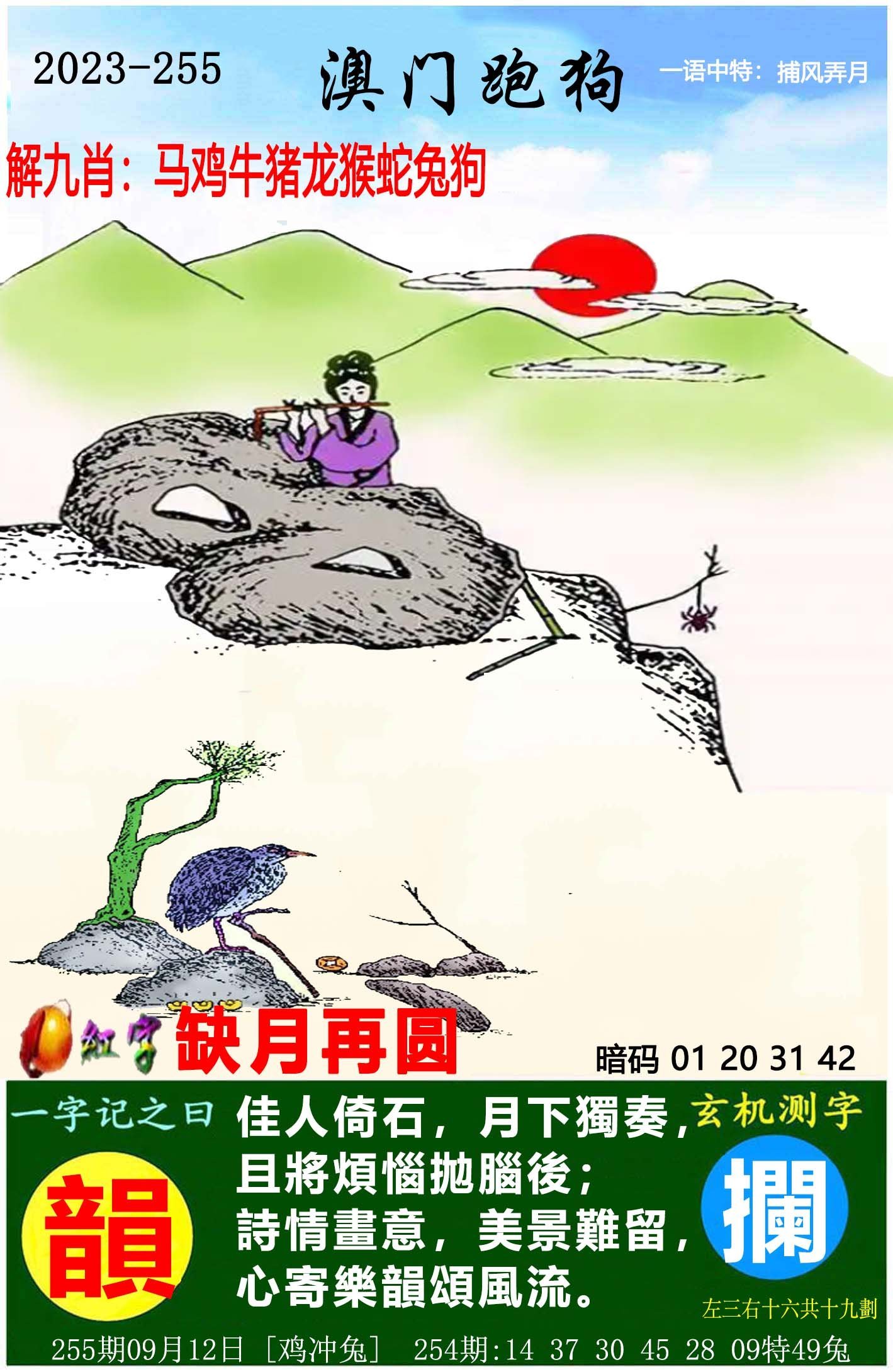 2025澳門天天開好彩大全（第65期精彩解析），澳門第65期精彩解析，預(yù)測未來好彩不斷