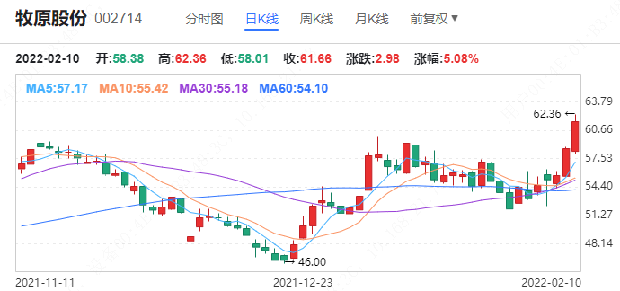 牧原股份股票行情深度解析，牧原股份股票行情全面深度解析