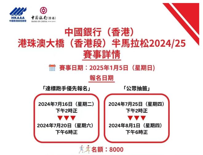 新澳2025天天正版資料大全——探索與解析，新澳2025天天正版資料大全，深度探索與詳細(xì)解析