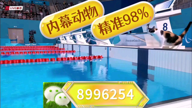 白小姐今晚特馬期期開獎六，深度解析與預測，白小姐特馬期期開獎六深度解析與預測今晚開獎結果