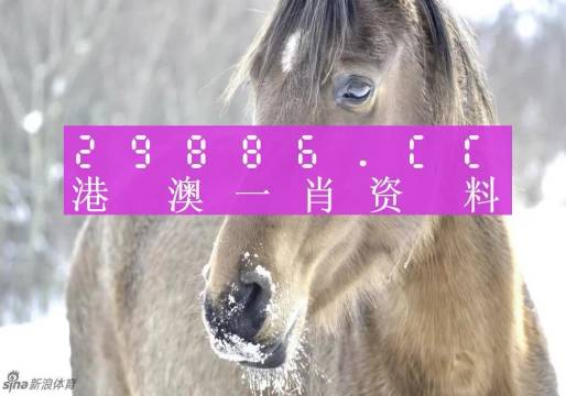 澳門(mén)一肖一碼，揭秘百分百準(zhǔn)確的預(yù)測(cè)之謎，澳門(mén)一肖一碼揭秘，百分百準(zhǔn)確預(yù)測(cè)之謎探秘