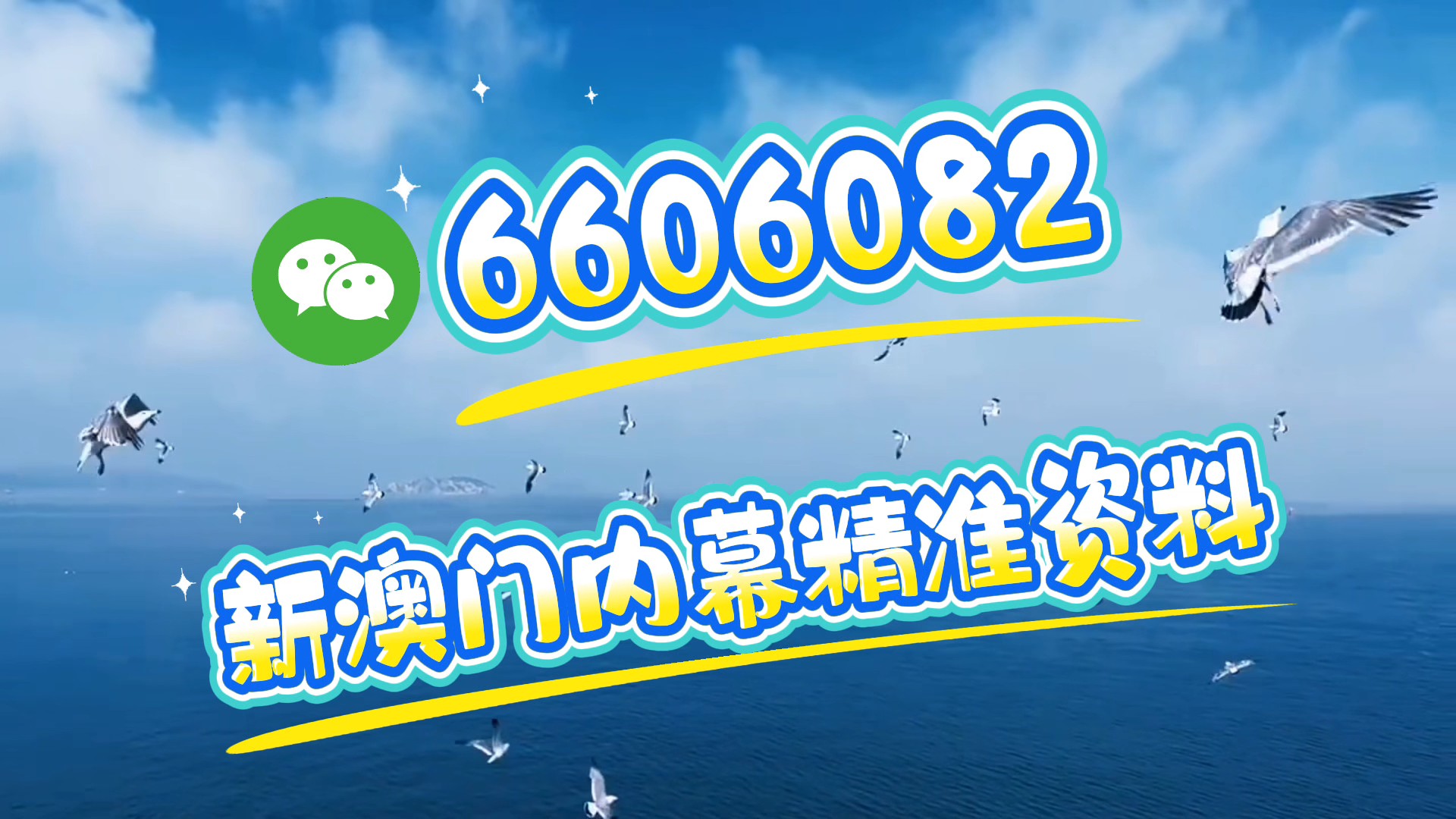 澳門一肖一碼期期準(zhǔn)，揭秘精準(zhǔn)預(yù)測的秘密，澳門精準(zhǔn)預(yù)測一肖一碼揭秘，期期準(zhǔn)確的秘密探究