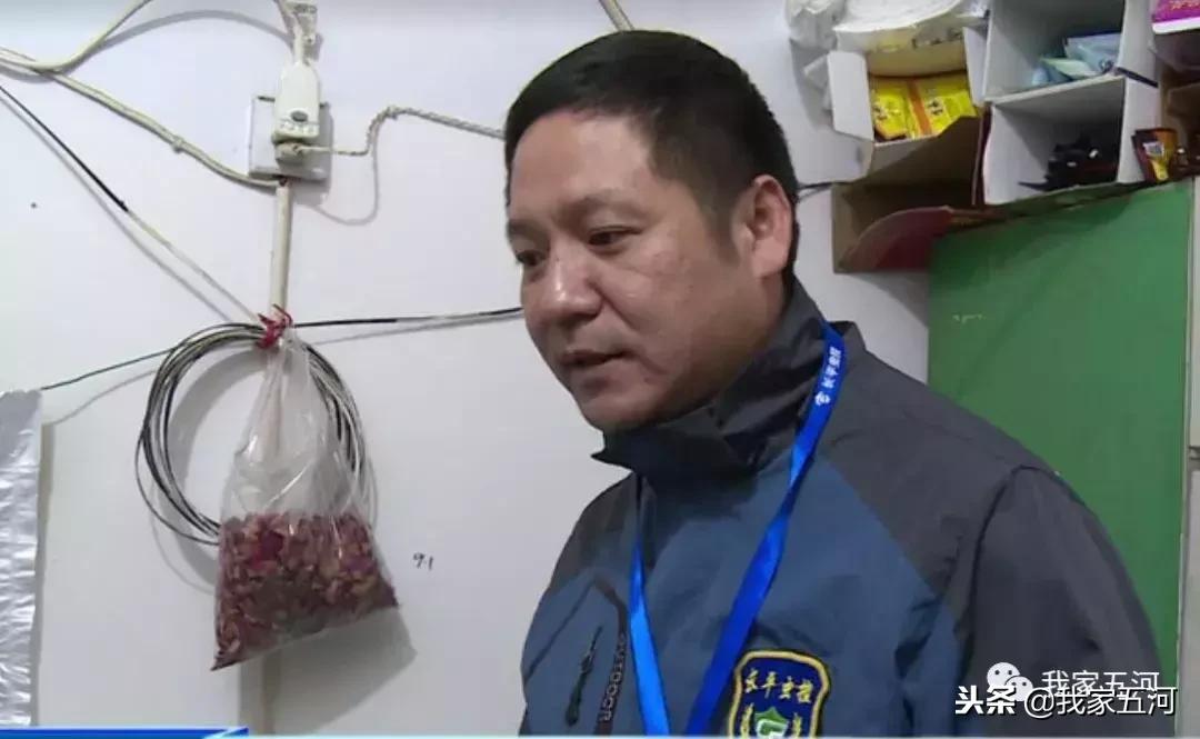 王中王免費開獎結(jié)果一肖，揭秘彩票背后的秘密，揭秘彩票背后的秘密，王中王免費開獎結(jié)果一肖揭曉