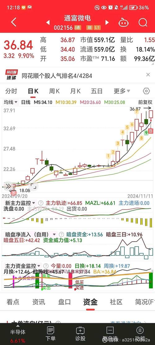 股票600358，深度解析與前景展望，股票600358深度解析與未來前景展望