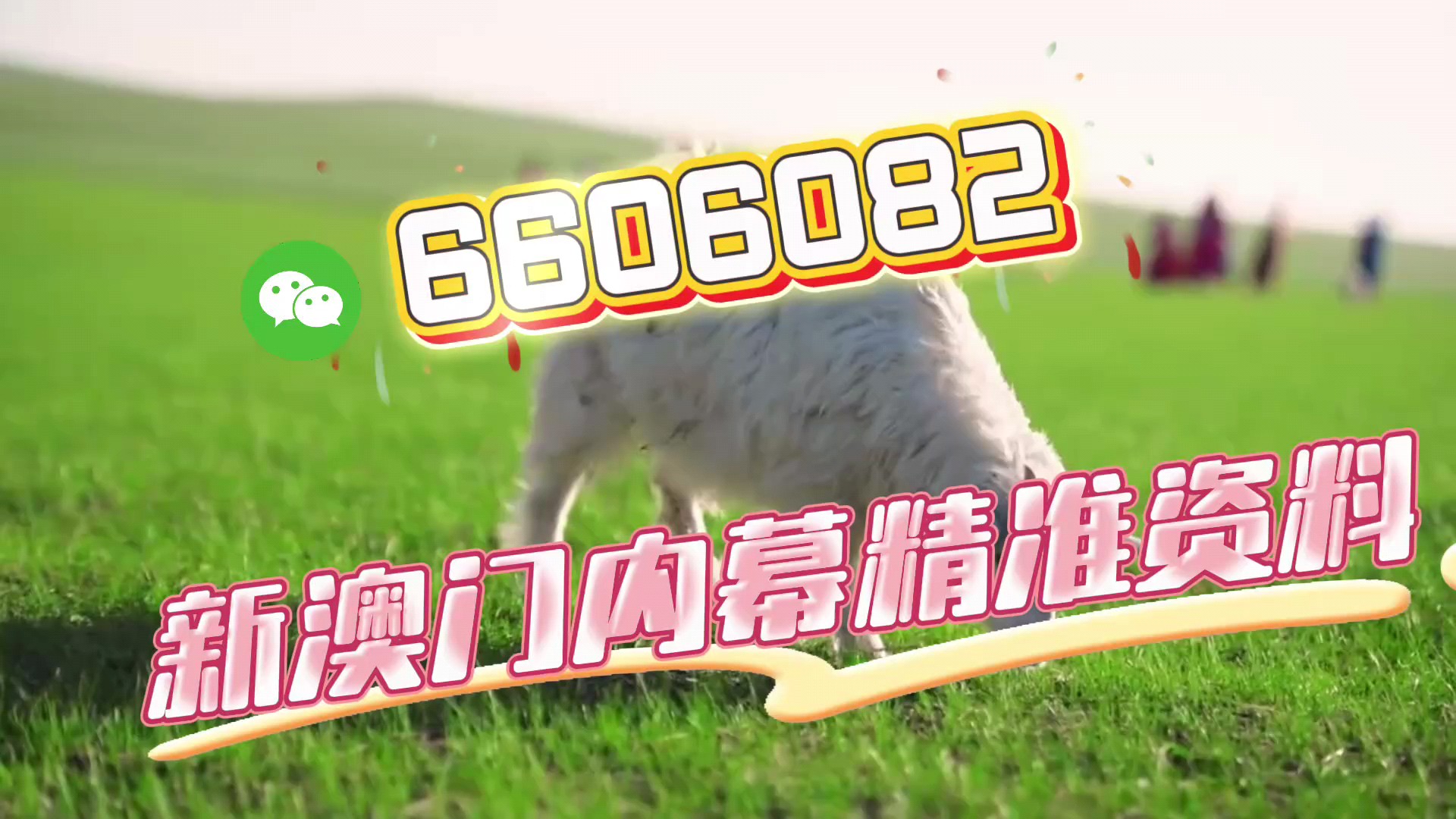 澳門一肖一碼準(zhǔn)選今晚——揭秘精準(zhǔn)預(yù)測的秘密，澳門一肖一碼精準(zhǔn)預(yù)測揭秘，今晚秘密揭曉！