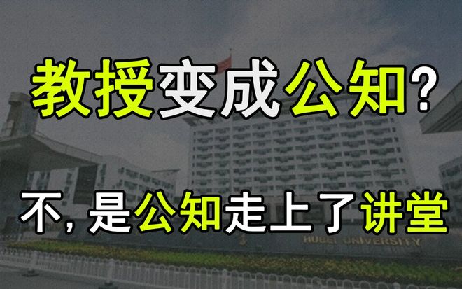 關(guān)于美英日停發(fā)中國人簽證的探討，美英日暫停中國人簽證，國際趨勢下的探討與影響