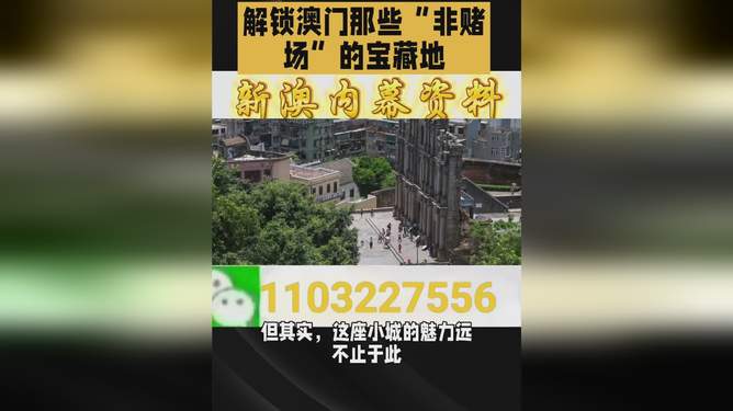 澳門今晚必開一肖一特北京，深度解析與預(yù)測，澳門今晚必開一肖一特深度解析與預(yù)測報告