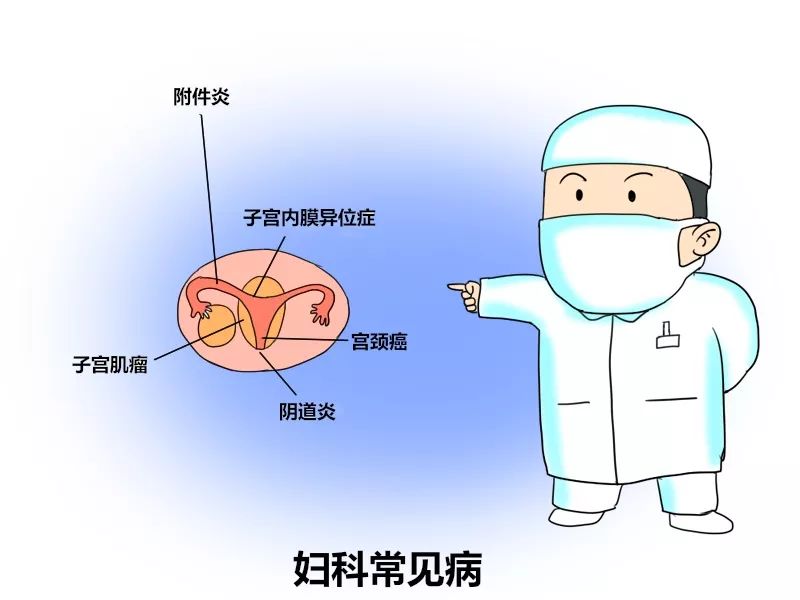 關(guān)于婦科疾病，了解、預(yù)防與治療的重要性，婦科疾病，了解、預(yù)防與治療的重要性全解析