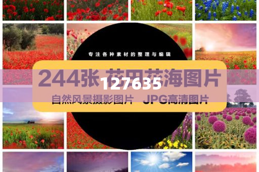 探索精準(zhǔn)新傳真，揭秘?cái)?shù)字組合7777788888的神秘面紗與SEO優(yōu)化策略，揭秘?cái)?shù)字組合7777788888的神秘面紗，精準(zhǔn)新傳真探索與SEO優(yōu)化策略揭秘