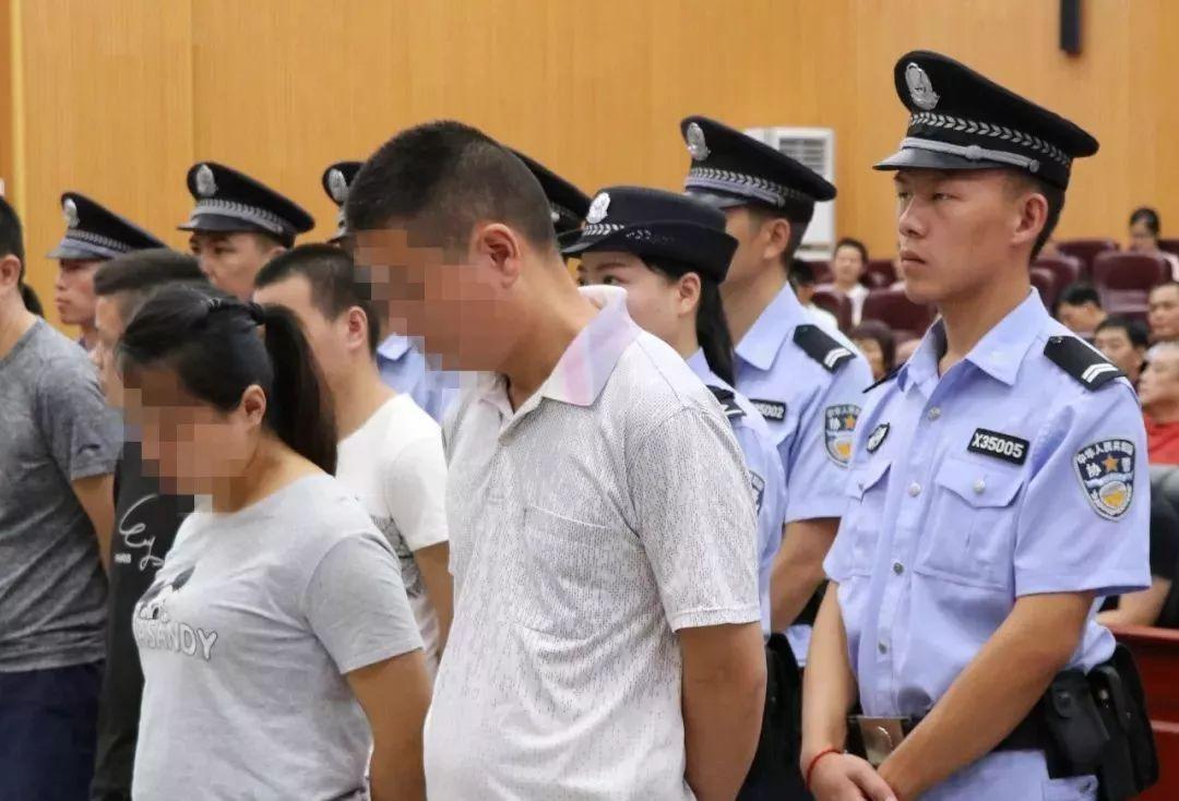 如何獲取香港正版精準特馬資料——全面指南，全面解析，如何獲取香港正版精準特馬資料